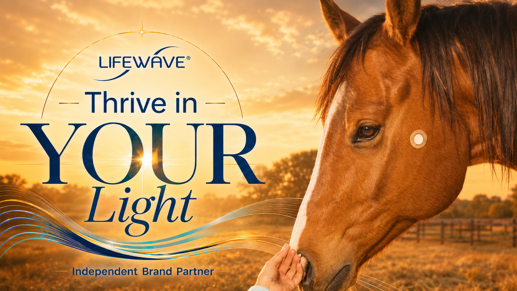LifeWave — Thrive in Your Light for Animals